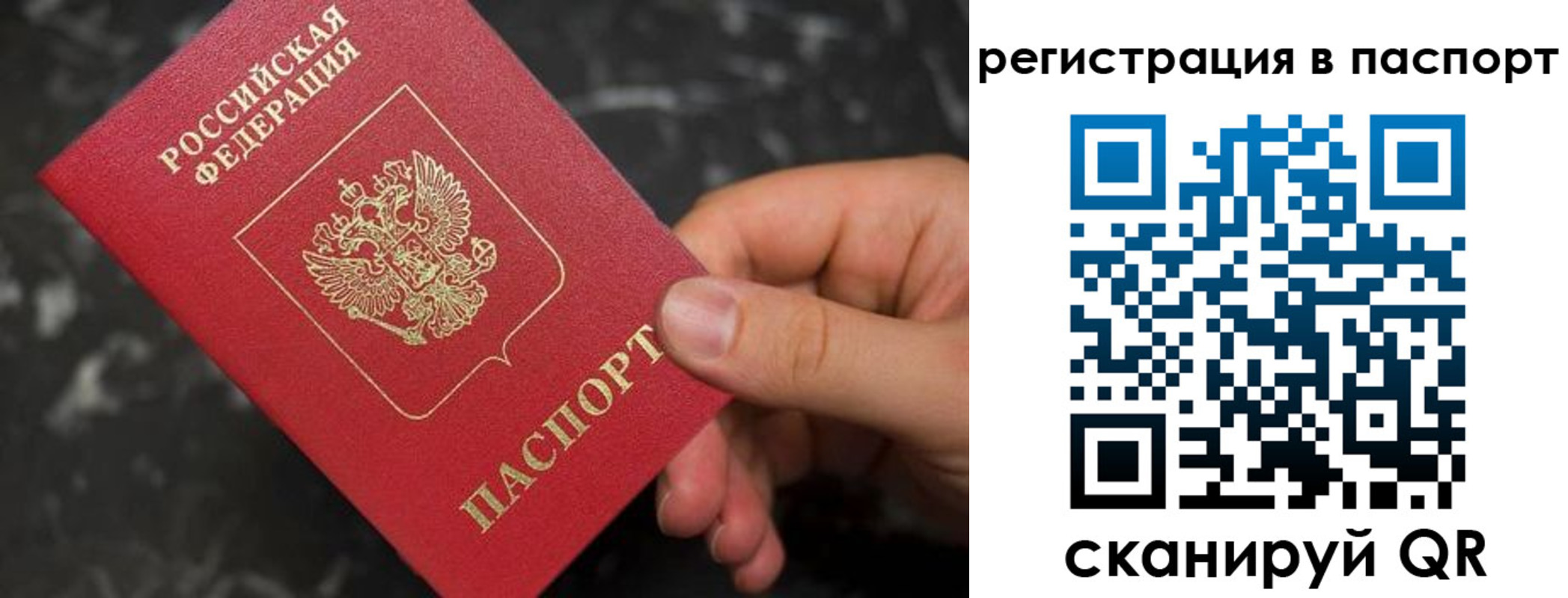 прописка регистрация в Ершове